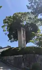 豊国神社(京都府)