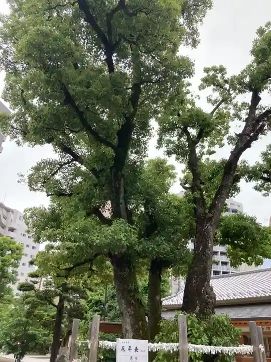 蒲田八幡神社(東京都)