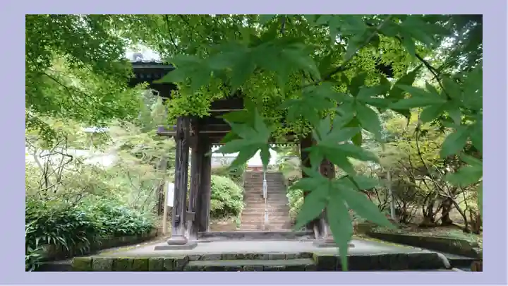 崇禅寺(群馬県)