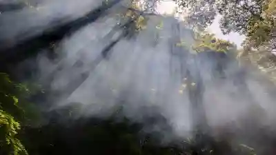 石上神社(奈良県)
