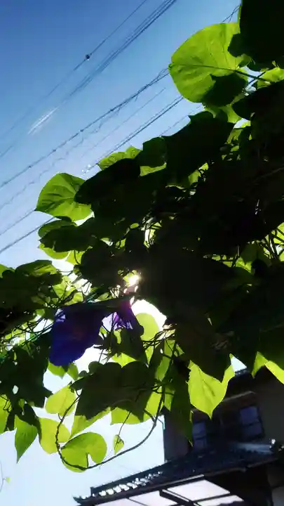 宗龍寺(愛知県)