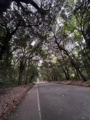 明治神宮(東京都)