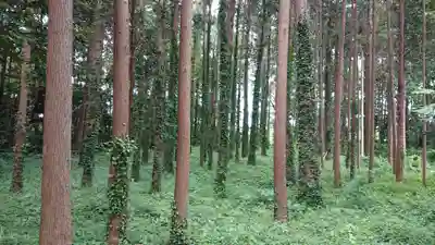 戸隠神社(茨城県)