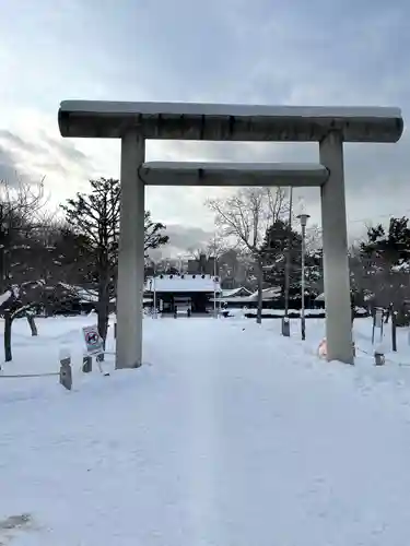 札幌護國神社の鳥居