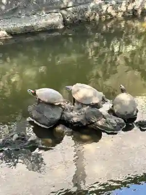 磐井神社(東京都)