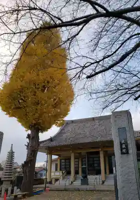 正蔵院の本殿・本堂