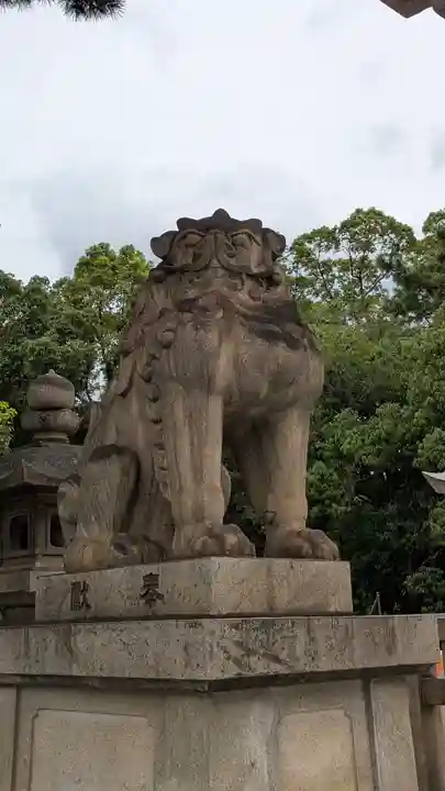 住吉大社(大阪府)