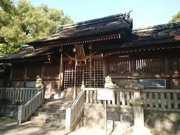 野田八幡宮の本殿・本堂