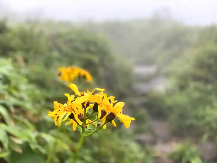 飯縄神社 奥社(長野県)