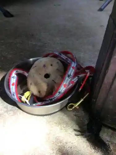 上目黒氷川神社(東京都)