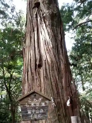 鷲子山上神社のその他建物