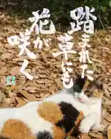 専念寺(大阪府)