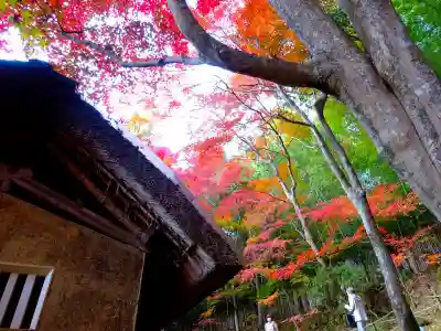 教林坊(滋賀県)
