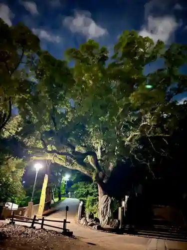 東雲神社(愛媛県)