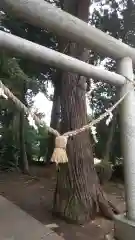 稲荷神社の鳥居