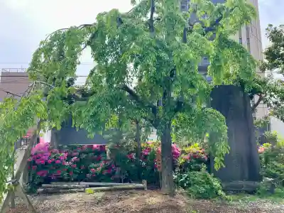 尾久八幡神社の{uncategorized: "未分類", other: "その他", undefined: "問題あり", building: "その他建物", grave: "お墓", sacred_gate: "鳥居", guardian: "狛犬", statue: "像", buddha: "仏像", history: "歴史", nature: "自然", garden: "庭園", animal: "動物", pagoda: "塔", temizu: "手水舎", mountain_gate: "山門・神門", sanctuary: "本殿・本堂", subordinate: "末社・摂社", art: "芸術", scenery: "景色", jizo: "地蔵", ema: "絵馬", goshuin: "御朱印", omikuji: "おみくじ", items: "授与品その他", amulet: "お守り", goshuincho: "御朱印帳", eats: "食事", festival: "お祭り", votive_dance: "神楽", shichigosan: "七五三参", wedding: "結婚式", experience: "体験その他", initially: "初詣", around: "周辺", anti_infection: "感染症対策"}