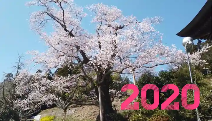 曹洞宗 永松山 龍泉寺の自然