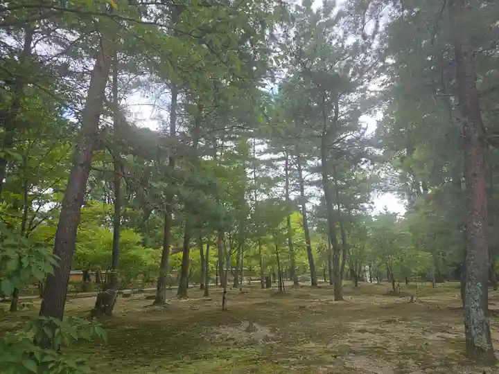 仁和寺(京都府)