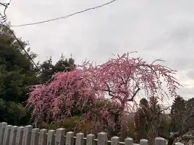 針綱神社の{uncategorized: "未分類", other: "その他", undefined: "問題あり", building: "その他建物", grave: "お墓", sacred_gate: "鳥居", guardian: "狛犬", statue: "像", buddha: "仏像", history: "歴史", nature: "自然", garden: "庭園", animal: "動物", pagoda: "塔", temizu: "手水舎", mountain_gate: "山門・神門", sanctuary: "本殿・本堂", subordinate: "末社・摂社", art: "芸術", scenery: "景色", jizo: "地蔵", ema: "絵馬", goshuin: "御朱印", omikuji: "おみくじ", items: "授与品その他", amulet: "お守り", goshuincho: "御朱印帳", eats: "食事", festival: "お祭り", votive_dance: "神楽", shichigosan: "七五三参", wedding: "結婚式", experience: "体験その他", initially: "初詣", around: "周辺", anti_infection: "感染症対策"}