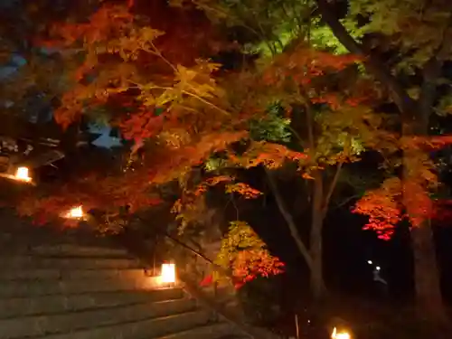 園城寺（三井寺）(滋賀県)