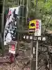 八幡神社(岐阜県)