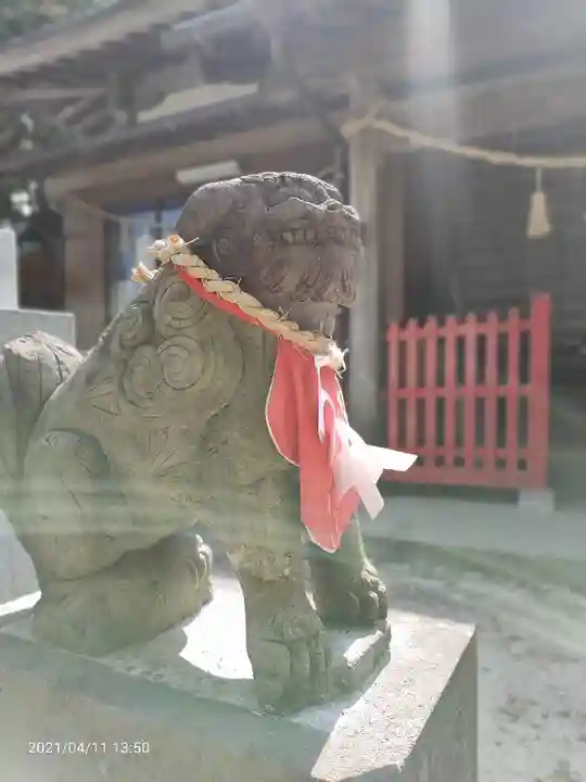 宮谷八幡神社の狛犬