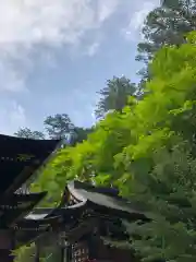 三峯神社の建物その他