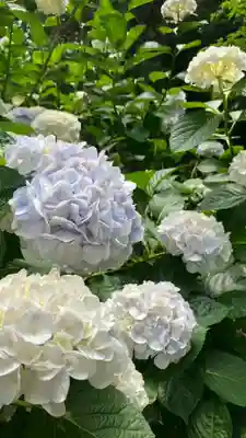 吉備津神社(岡山県)