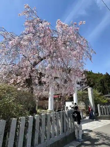 金蛇水神社の{uncategorized: "未分類", other: "その他", undefined: "問題あり", building: "その他建物", grave: "お墓", sacred_gate: "鳥居", guardian: "狛犬", statue: "像", buddha: "仏像", history: "歴史", nature: "自然", garden: "庭園", animal: "動物", pagoda: "塔", temizu: "手水舎", mountain_gate: "山門・神門", sanctuary: "本殿・本堂", subordinate: "末社・摂社", art: "芸術", scenery: "景色", jizo: "地蔵", ema: "絵馬", goshuin: "御朱印", omikuji: "おみくじ", items: "授与品その他", amulet: "お守り", goshuincho: "御朱印帳", eats: "食事", festival: "お祭り", votive_dance: "神楽", shichigosan: "七五三参", wedding: "結婚式", experience: "体験その他", initially: "初詣", around: "周辺", anti_infection: "感染症対策"}