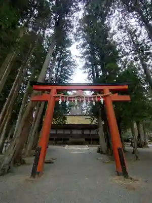壇上伽藍の{uncategorized: "未分類", other: "その他", undefined: "問題あり", building: "その他建物", grave: "お墓", sacred_gate: "鳥居", guardian: "狛犬", statue: "像", buddha: "仏像", history: "歴史", nature: "自然", garden: "庭園", animal: "動物", pagoda: "塔", temizu: "手水舎", mountain_gate: "山門・神門", sanctuary: "本殿・本堂", subordinate: "末社・摂社", art: "芸術", scenery: "景色", jizo: "地蔵", ema: "絵馬", goshuin: "御朱印", omikuji: "おみくじ", items: "授与品その他", amulet: "お守り", goshuincho: "御朱印帳", eats: "食事", festival: "お祭り", votive_dance: "神楽", shichigosan: "七五三参", wedding: "結婚式", experience: "体験その他", initially: "初詣", around: "周辺", anti_infection: "感染症対策"}