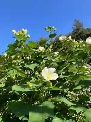瑞泉寺(神奈川県)