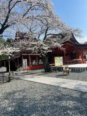 富士山本宮浅間大社(静岡県)
