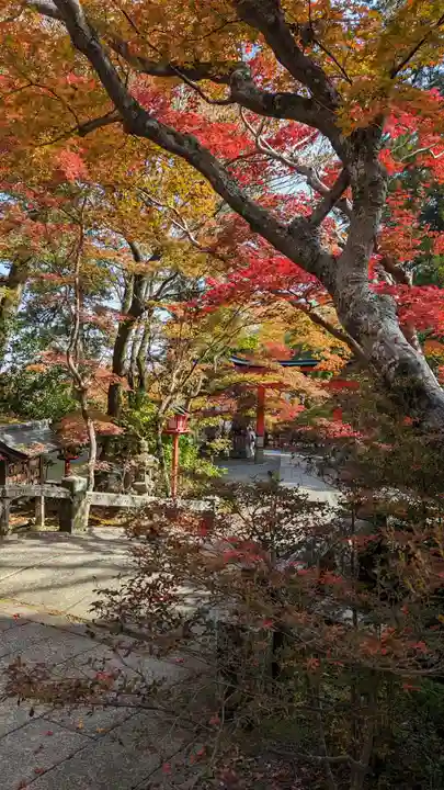 鍬山神社(京都府)