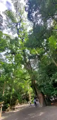 伊勢神宮外宮（豊受大神宮）(三重県)