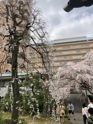 普門寺(広島県)