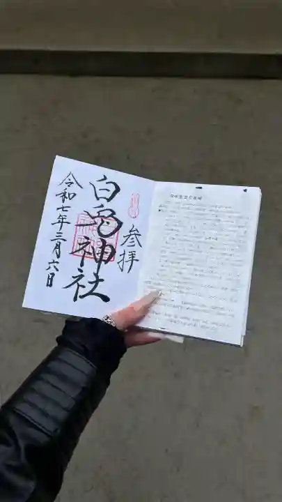 白兎神社(鳥取県)