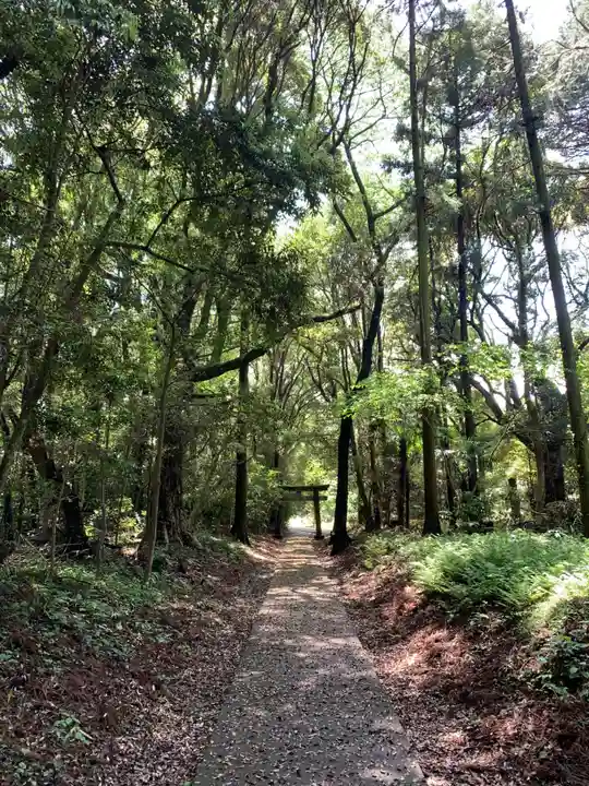 日枝神社(千葉県)