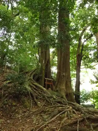 事任八幡宮の自然