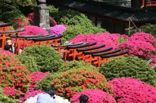 根津神社の庭園