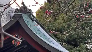 尾山神社の{uncategorized: "未分類", other: "その他", undefined: "問題あり", building: "その他建物", grave: "お墓", sacred_gate: "鳥居", guardian: "狛犬", statue: "像", buddha: "仏像", history: "歴史", nature: "自然", garden: "庭園", animal: "動物", pagoda: "塔", temizu: "手水舎", mountain_gate: "山門・神門", sanctuary: "本殿・本堂", subordinate: "末社・摂社", art: "芸術", scenery: "景色", jizo: "地蔵", ema: "絵馬", goshuin: "御朱印", omikuji: "おみくじ", items: "授与品その他", amulet: "お守り", goshuincho: "御朱印帳", eats: "食事", festival: "お祭り", votive_dance: "神楽", shichigosan: "七五三参", wedding: "結婚式", experience: "体験その他", initially: "初詣", around: "周辺", anti_infection: "感染症対策"}