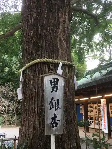 大宮八幡宮のその他建物