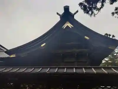 箭弓稲荷神社の{uncategorized: "未分類", other: "その他", undefined: "問題あり", building: "その他建物", grave: "お墓", sacred_gate: "鳥居", guardian: "狛犬", statue: "像", buddha: "仏像", history: "歴史", nature: "自然", garden: "庭園", animal: "動物", pagoda: "塔", temizu: "手水舎", mountain_gate: "山門・神門", sanctuary: "本殿・本堂", subordinate: "末社・摂社", art: "芸術", scenery: "景色", jizo: "地蔵", ema: "絵馬", goshuin: "御朱印", omikuji: "おみくじ", items: "授与品その他", amulet: "お守り", goshuincho: "御朱印帳", eats: "食事", festival: "お祭り", votive_dance: "神楽", shichigosan: "七五三参", wedding: "結婚式", experience: "体験その他", initially: "初詣", around: "周辺", anti_infection: "感染症対策"}
