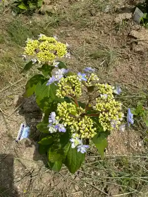 熊野福藏神社(福島県)
