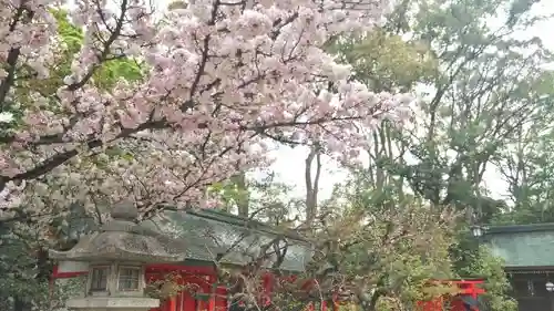 北野天満宮の庭園