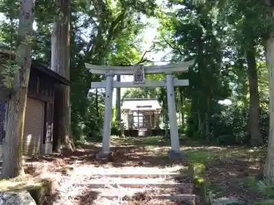 八幡神社（白山神社）の{uncategorized: "未分類", other: "その他", undefined: "問題あり", building: "その他建物", grave: "お墓", sacred_gate: "鳥居", guardian: "狛犬", statue: "像", buddha: "仏像", history: "歴史", nature: "自然", garden: "庭園", animal: "動物", pagoda: "塔", temizu: "手水舎", mountain_gate: "山門・神門", sanctuary: "本殿・本堂", subordinate: "末社・摂社", art: "芸術", scenery: "景色", jizo: "地蔵", ema: "絵馬", goshuin: "御朱印", omikuji: "おみくじ", items: "授与品その他", amulet: "お守り", goshuincho: "御朱印帳", eats: "食事", festival: "お祭り", votive_dance: "神楽", shichigosan: "七五三参", wedding: "結婚式", experience: "体験その他", initially: "初詣", around: "周辺", anti_infection: "感染症対策"}