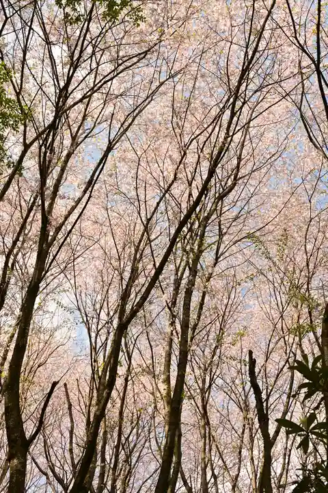 熊野神社(愛媛県)