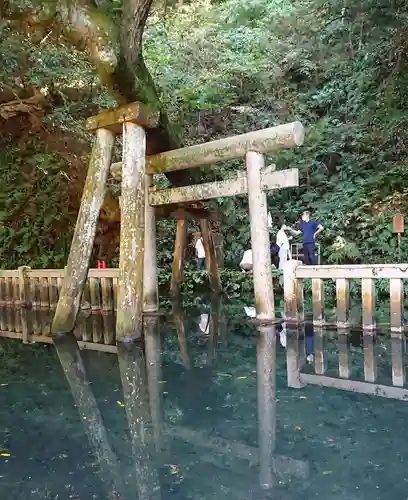 鹿島神宮(茨城県)
