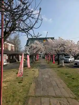 大聖寺の{uncategorized: "未分類", other: "その他", undefined: "問題あり", building: "その他建物", grave: "お墓", sacred_gate: "鳥居", guardian: "狛犬", statue: "像", buddha: "仏像", history: "歴史", nature: "自然", garden: "庭園", animal: "動物", pagoda: "塔", temizu: "手水舎", mountain_gate: "山門・神門", sanctuary: "本殿・本堂", subordinate: "末社・摂社", art: "芸術", scenery: "景色", jizo: "地蔵", ema: "絵馬", goshuin: "御朱印", omikuji: "おみくじ", items: "授与品その他", amulet: "お守り", goshuincho: "御朱印帳", eats: "食事", festival: "お祭り", votive_dance: "神楽", shichigosan: "七五三参", wedding: "結婚式", experience: "体験その他", initially: "初詣", around: "周辺", anti_infection: "感染症対策"}