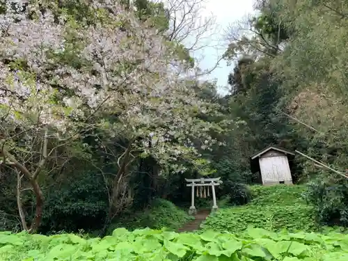 八幡神社の鳥居