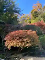 報国寺(神奈川県)